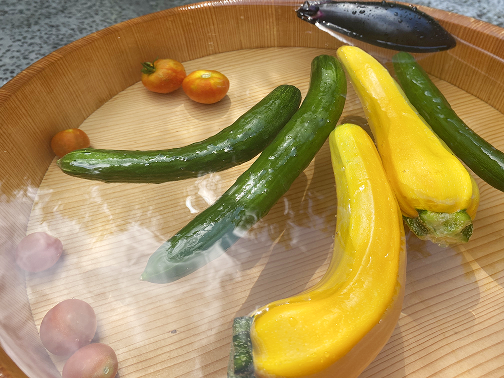 とれたての野菜