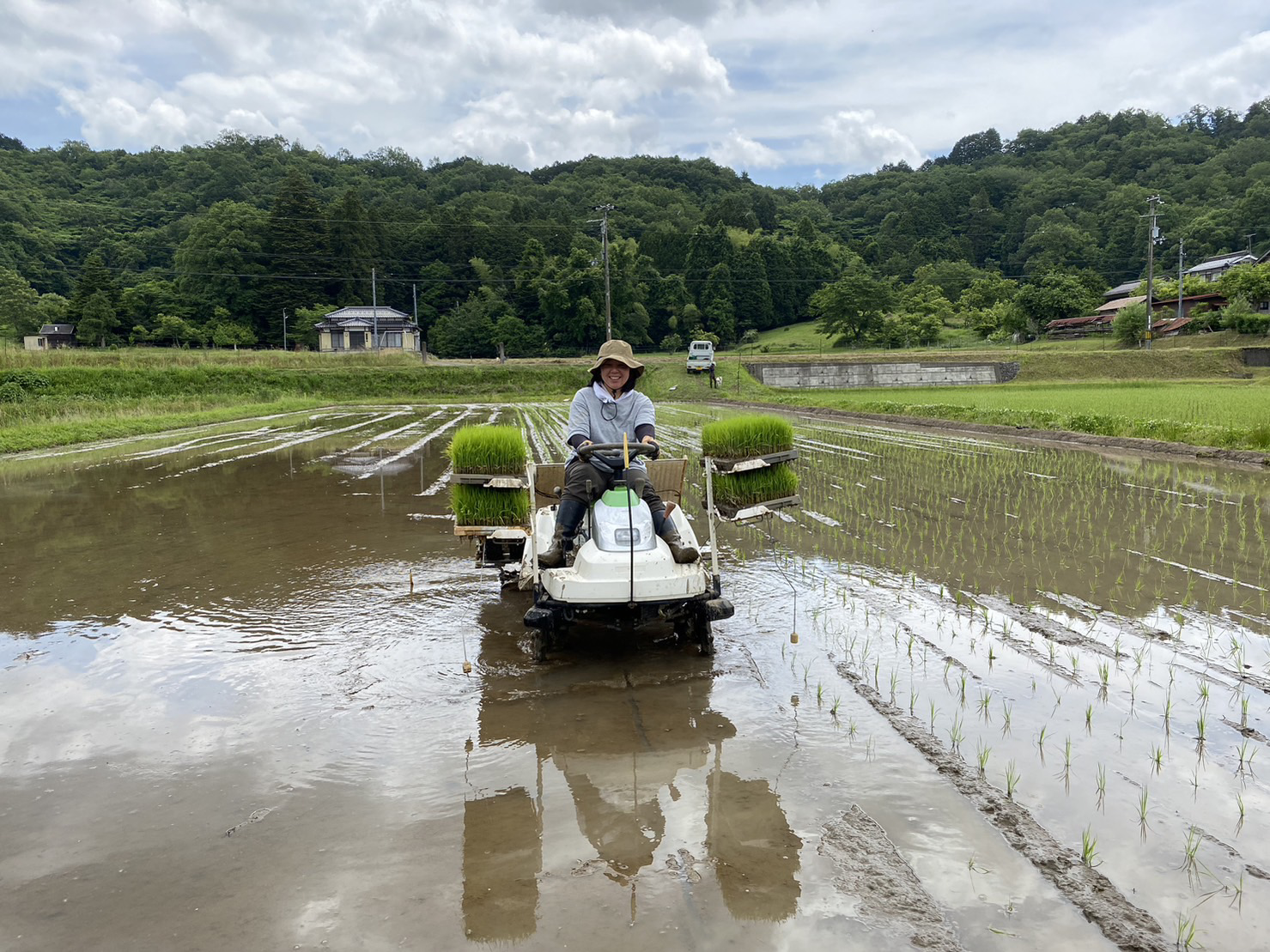 田植え
