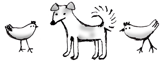 ペット犬と泊まれる民宿 看板犬てん